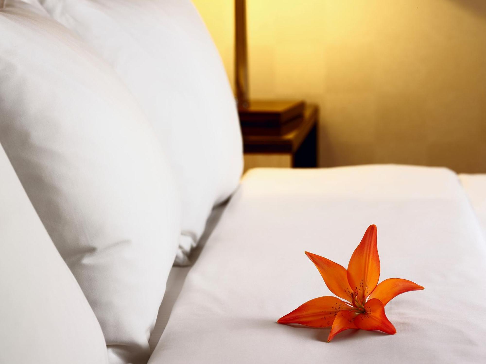 Hotel Acadia Квебек Экстерьер фото